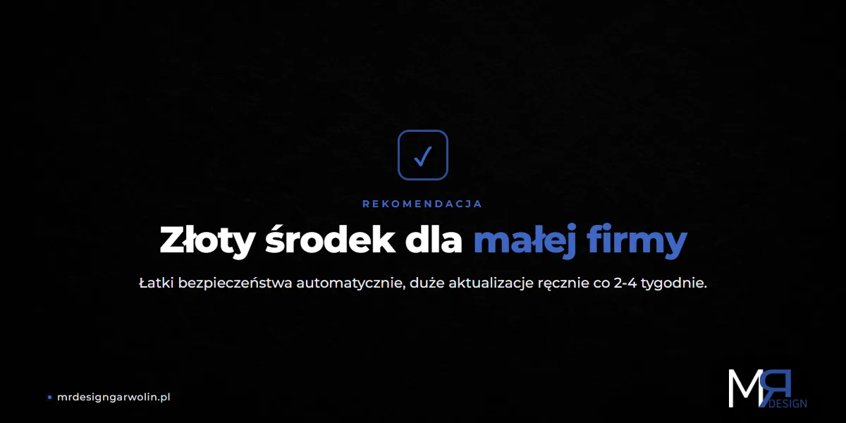 Ręczne czy automatyczne aktualizacje WordPress - złoty środek dla małej firmy