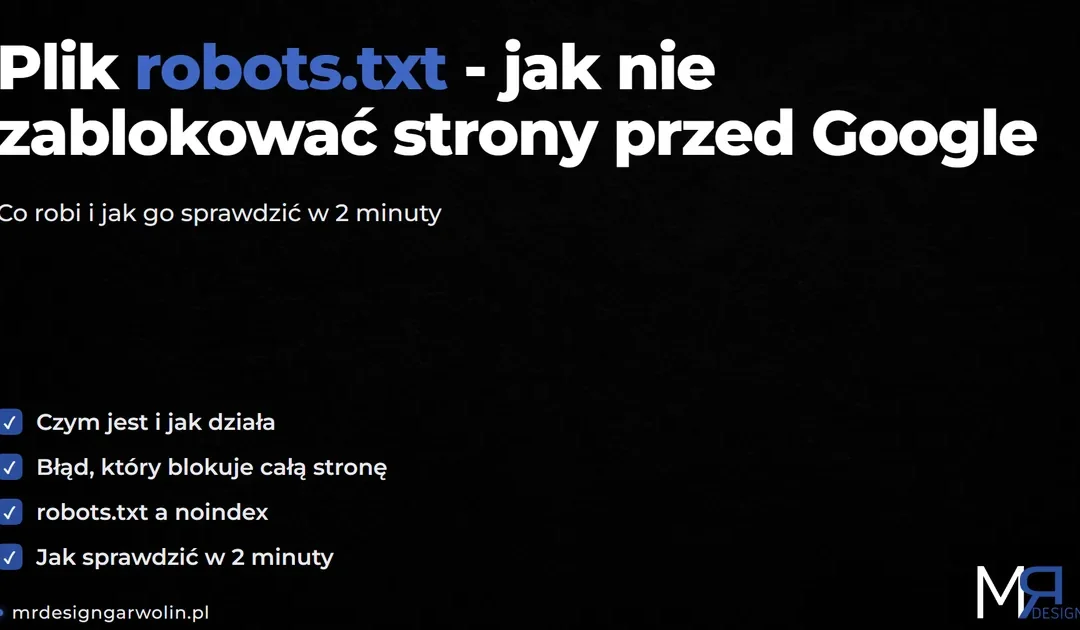 Plik robots.txt – co to jest i jak nie zablokować strony przed Google