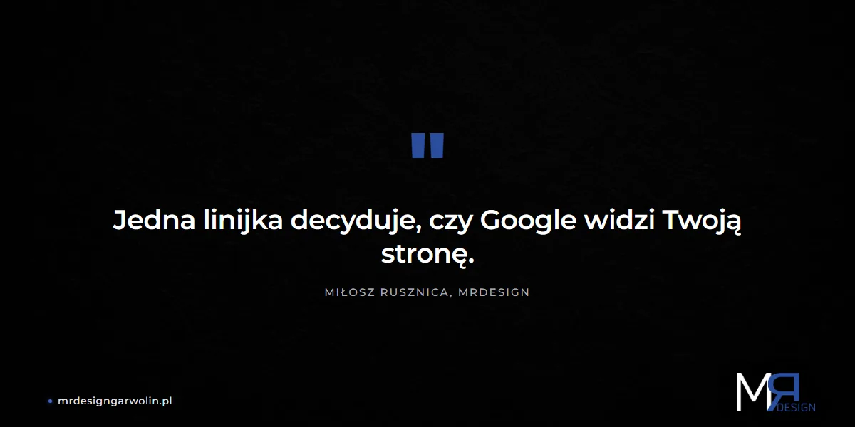 robots.txt decyduje o widoczności strony firmowej w Google
